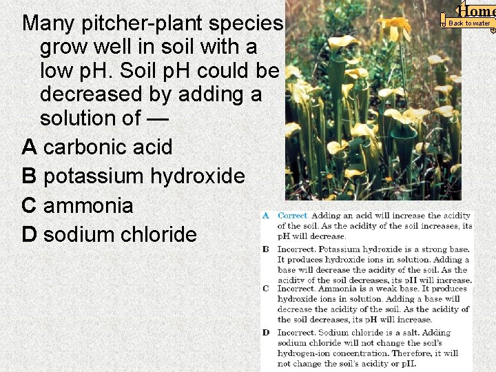 Many pitcher-plant species grow well in soil with a low p. H. Soil p.