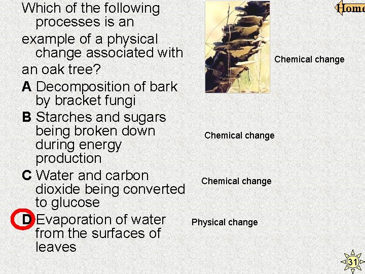 Which of the following processes is an example of a physical change associated with