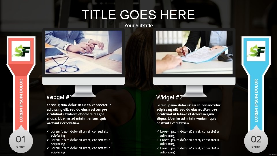 TITLE GOES HERE 01 OPTION Widget #1 Widget #2 Lorem ipsum dolor sit amet,