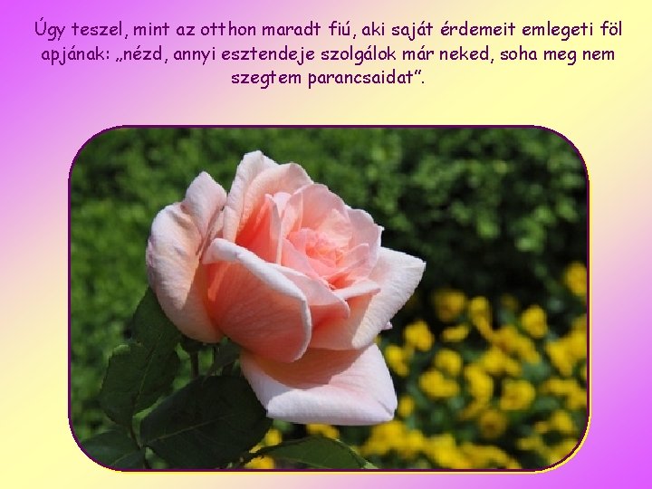 Úgy teszel, mint az otthon maradt fiú, aki saját érdemeit emlegeti föl apjának: „nézd,