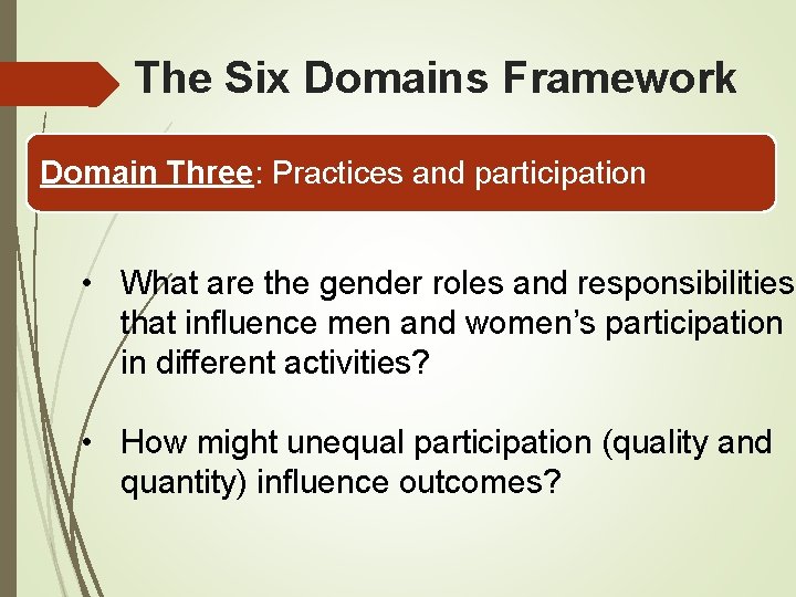 The Six Domains Framework Domain Three: Practices and participation • What are the gender