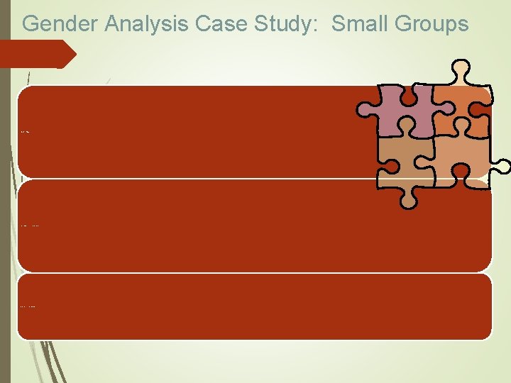Gender Analysis Case Study: Small Groups Make 3 small groups; Read the case study