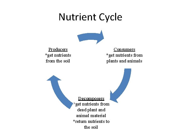 Nutrient Cycle Producers *get nutrients from the soil Consumers *get nutrients from plants and