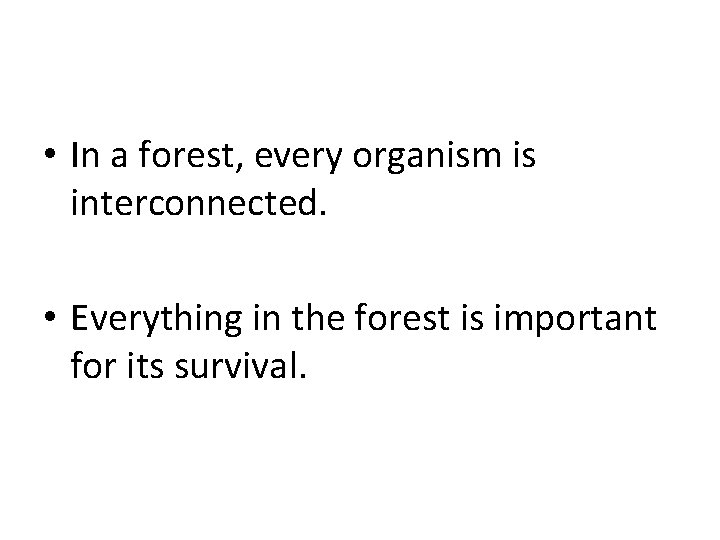  • In a forest, every organism is interconnected. • Everything in the forest