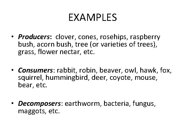 EXAMPLES • Producers: clover, cones, rosehips, raspberry bush, acorn bush, tree (or varieties of