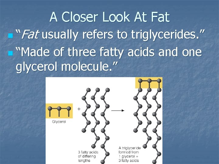 A Closer Look At Fat n “Fat usually refers to triglycerides. ” n “Made