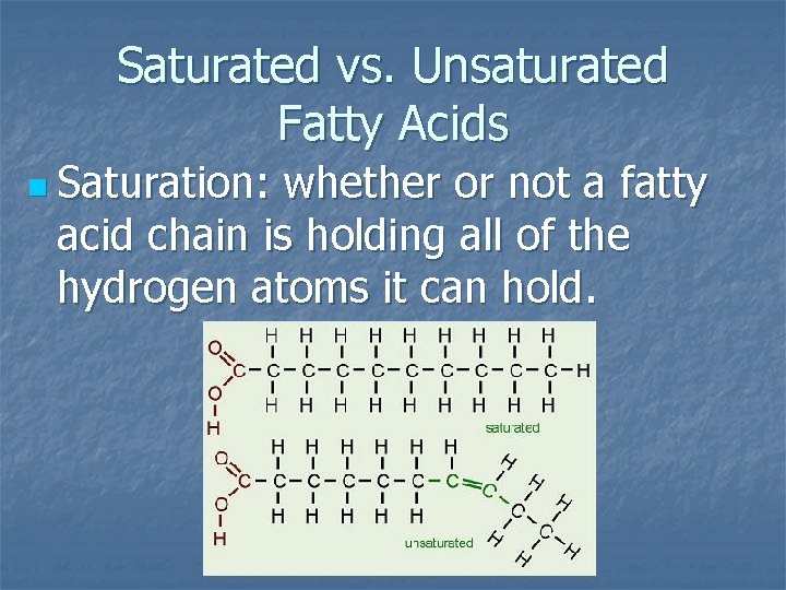 Saturated vs. Unsaturated Fatty Acids n Saturation: whether or not a fatty acid chain