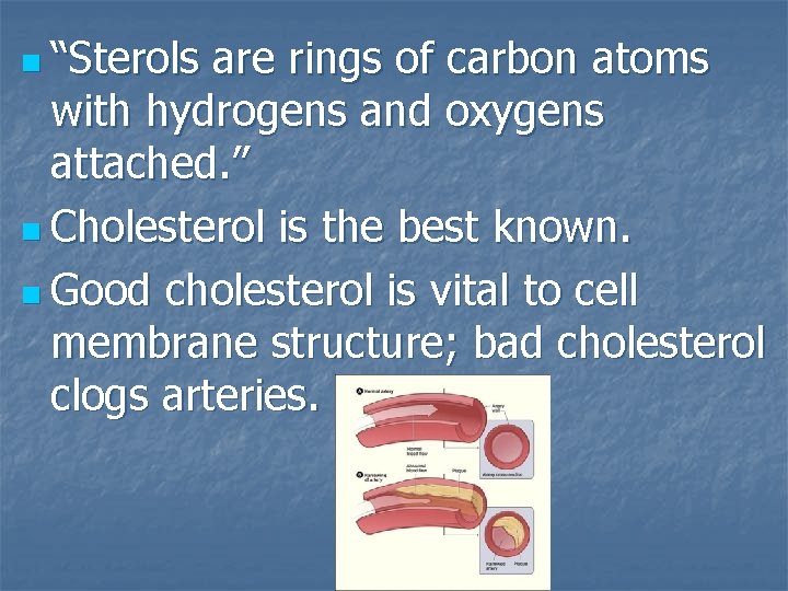 n “Sterols are rings of carbon atoms with hydrogens and oxygens attached. ” n