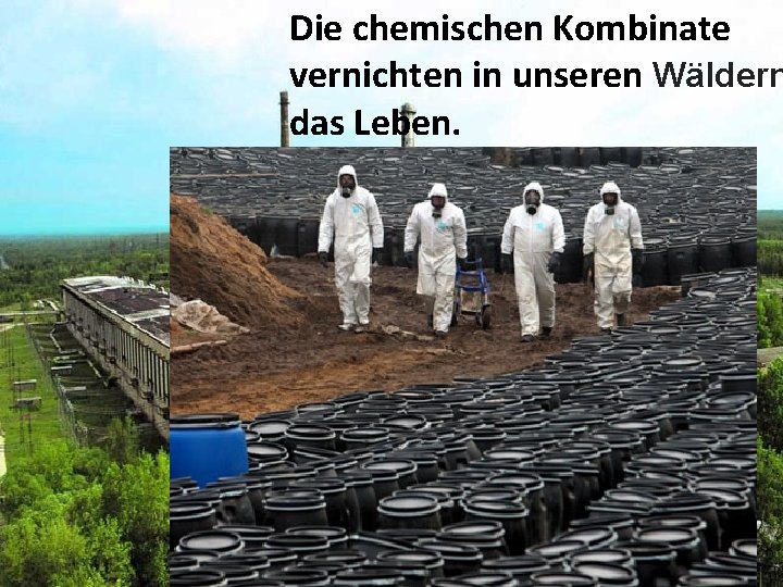 Die chemischen Kombinate vernichten in unseren Wäldern das Leben. 