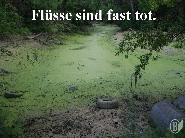 Flüsse sind fast tot. 