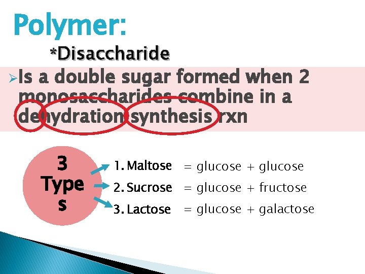 Polymer: ØIs *Disaccharide a double sugar formed when 2 monosaccharides combine in a dehydration