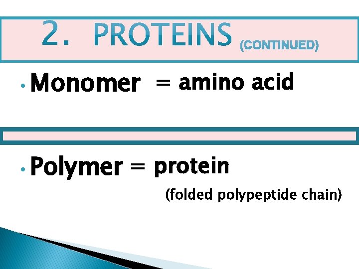  • Monomer • Polymer = amino acid = protein (folded polypeptide chain) 