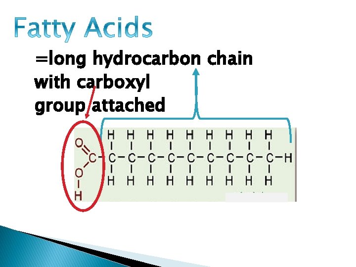 =long hydrocarbon chain with carboxyl group attached 