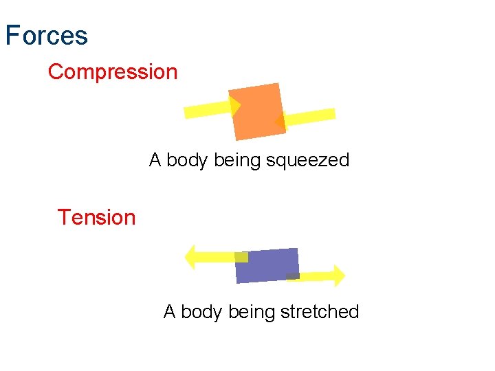 Forces Compression A body being squeezed Tension A body being stretched 