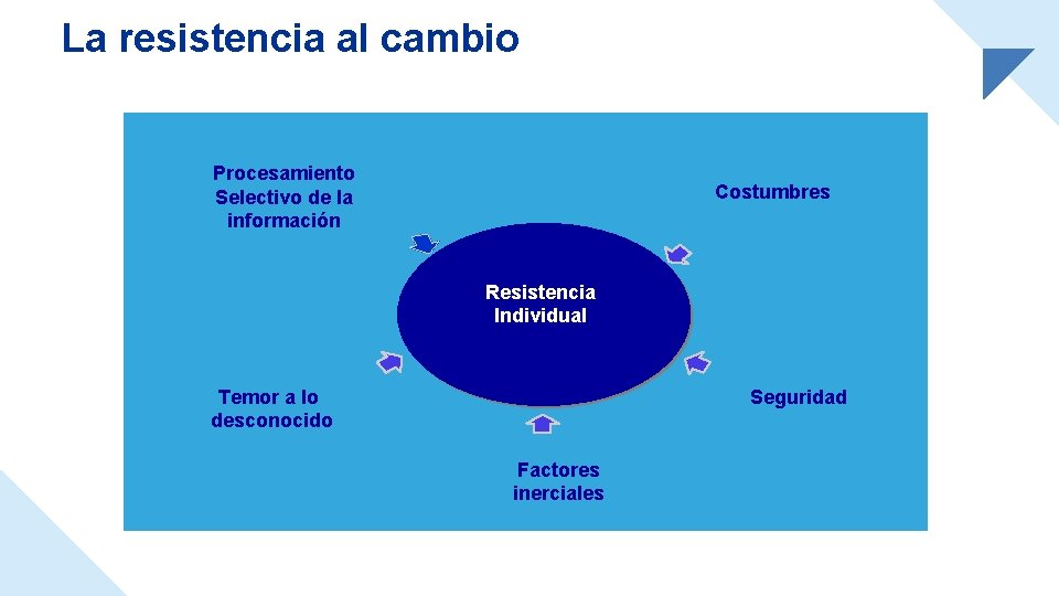 La resistencia al cambio Procesamiento Selectivo de la información Costumbres Resistencia Individual Temor a