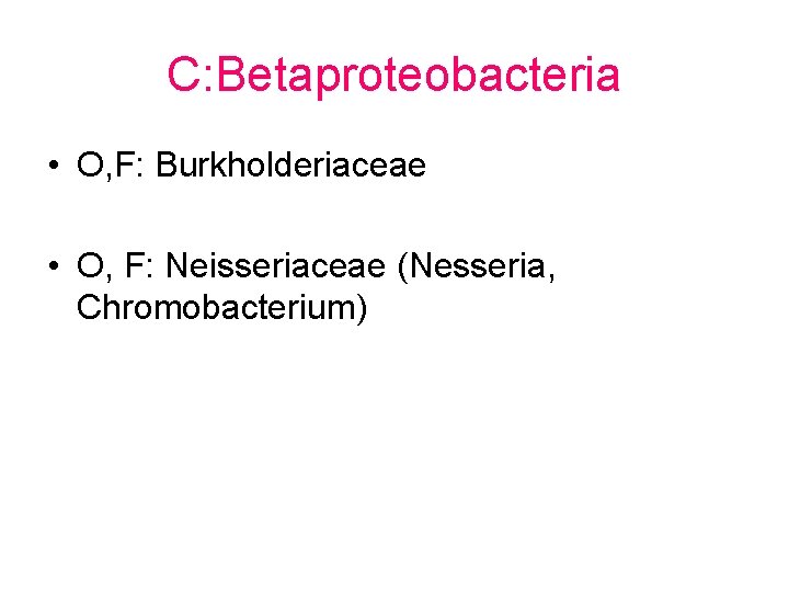 C: Betaproteobacteria • O, F: Burkholderiaceae • O, F: Neisseriaceae (Nesseria, Chromobacterium) 