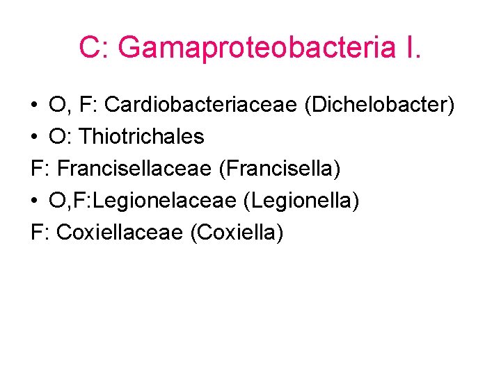 C: Gamaproteobacteria I. • O, F: Cardiobacteriaceae (Dichelobacter) • O: Thiotrichales F: Francisellaceae (Francisella)