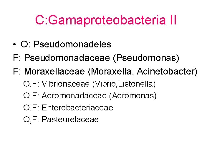 C: Gamaproteobacteria II • O: Pseudomonadeles F: Pseudomonadaceae (Pseudomonas) F: Moraxellaceae (Moraxella, Acinetobacter) O.