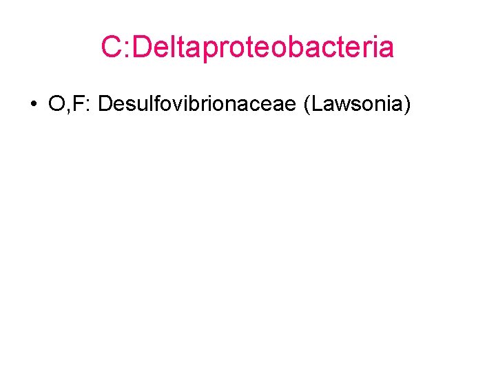 C: Deltaproteobacteria • O, F: Desulfovibrionaceae (Lawsonia) 