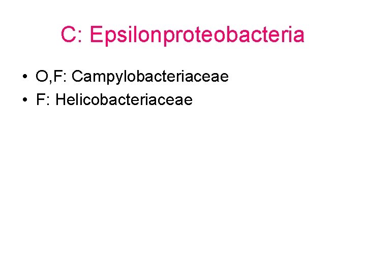 C: Epsilonproteobacteria • O, F: Campylobacteriaceae • F: Helicobacteriaceae 