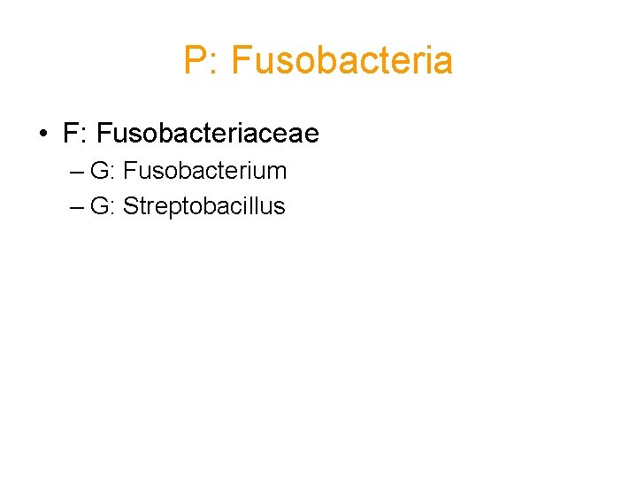 P: Fusobacteria • F: Fusobacteriaceae – G: Fusobacterium – G: Streptobacillus 