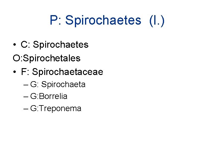 P: Spirochaetes (I. ) • C: Spirochaetes O: Spirochetales • F: Spirochaetaceae – G:
