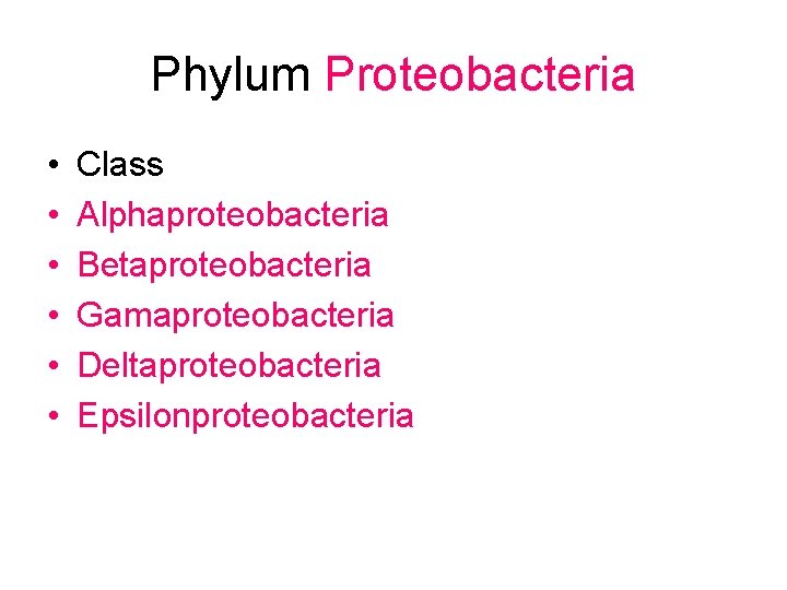 Phylum Proteobacteria • • • Class Alphaproteobacteria Betaproteobacteria Gamaproteobacteria Deltaproteobacteria Epsilonproteobacteria 