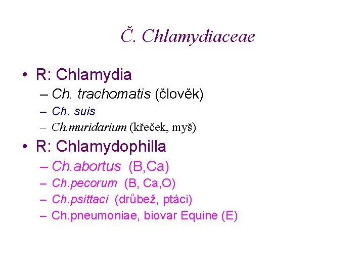 Č. Chlamydiaceae • R: Chlamydia – Ch. trachomatis (člověk) – Ch. suis – Ch.