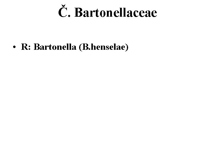 Č. Bartonellaceae • R: Bartonella (B. henselae) 