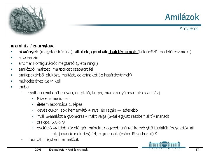 Amilázok Amylases -amiláz / -amylase § növények (magok csírázása), állatok, gombák, baktériumok (különböző eredetű