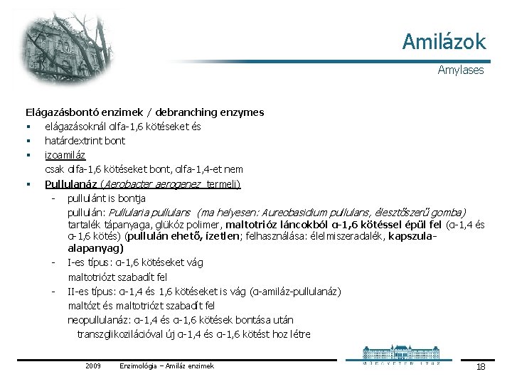 Amilázok Amylases Elágazásbontó enzimek / debranching enzymes § elágazásoknál αlfa 1, 6 kötéseket és