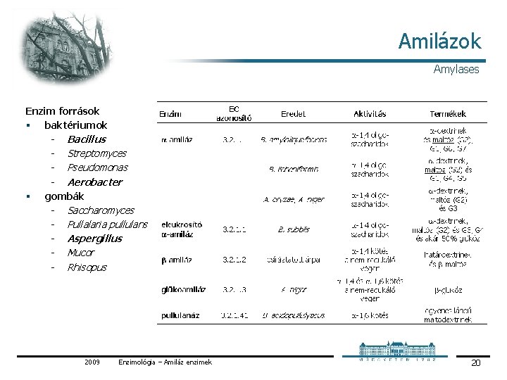 Amilázok Amylases Enzim források § baktériumok Bacillus Streptomyces Pseudomonas Aerobacter § gombák Saccharomyces Pullalaria