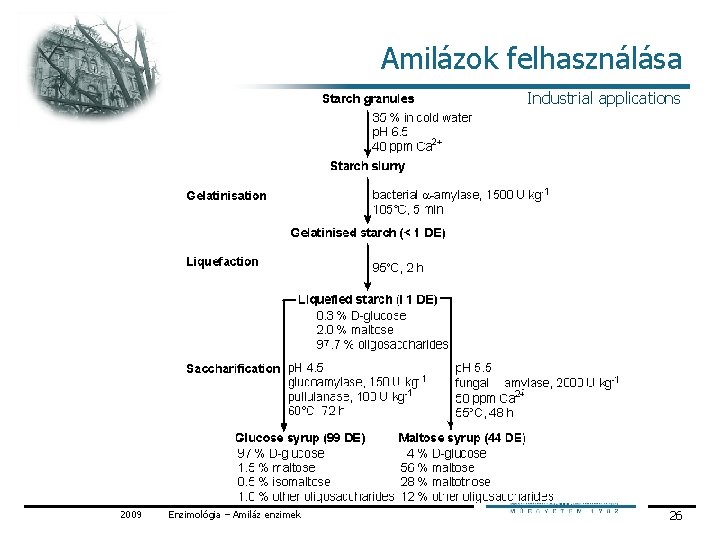 Amilázok felhasználása Industrial applications 2009 Enzimológia – Amiláz enzimek 26 