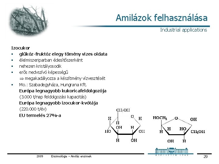 Amilázok felhasználása Industrial applications Izocukor § glükóz-fruktóz elegy tömény vizes oldata § élelmiszeriparban édesítőszerként