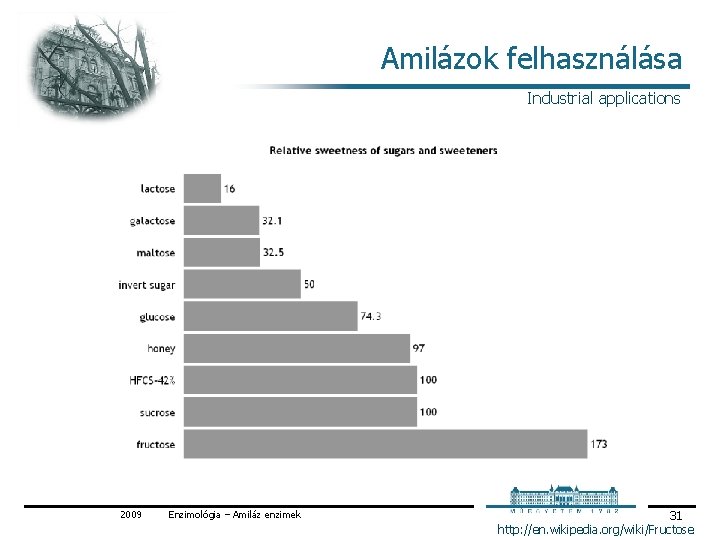 Amilázok felhasználása Industrial applications 2009 Enzimológia – Amiláz enzimek 31 http: //en. wikipedia. org/wiki/Fructose