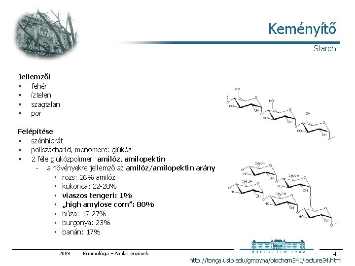 Keményítő Starch Jellemzői § fehér § íztelen § szagtalan § por Felépítése § szénhidrát