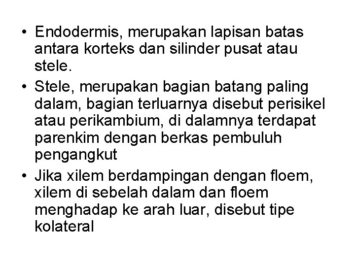  • Endodermis, merupakan lapisan batas antara korteks dan silinder pusat atau stele. •