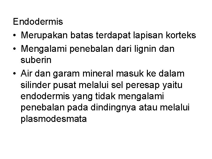 Endodermis • Merupakan batas terdapat lapisan korteks • Mengalami penebalan dari lignin dan suberin