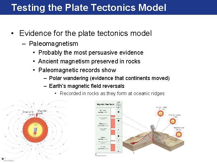 Testing the Plate Tectonics Model • Evidence for the plate tectonics model – Paleomagnetism