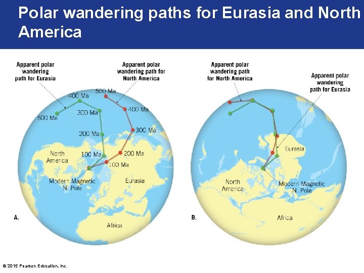 Polar wandering paths for Eurasia and North America © 2015 Pearson Education, Inc. 