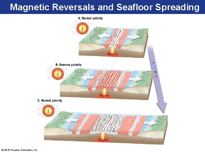 Magnetic Reversals and Seafloor Spreading © 2015 Pearson Education, Inc. 