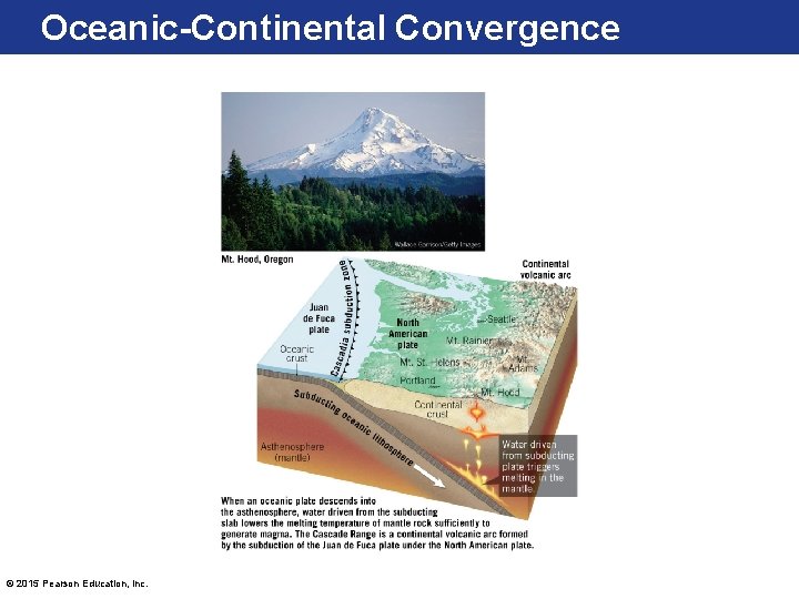 Oceanic-Continental Convergence © 2015 Pearson Education, Inc. 