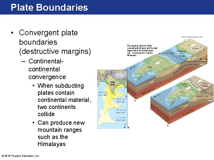 Plate Boundaries • Convergent plate boundaries (destructive margins) – Continentalcontinental convergence • When subducting