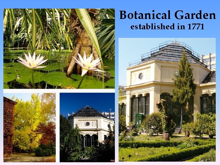 Botanical Garden established in 1771 