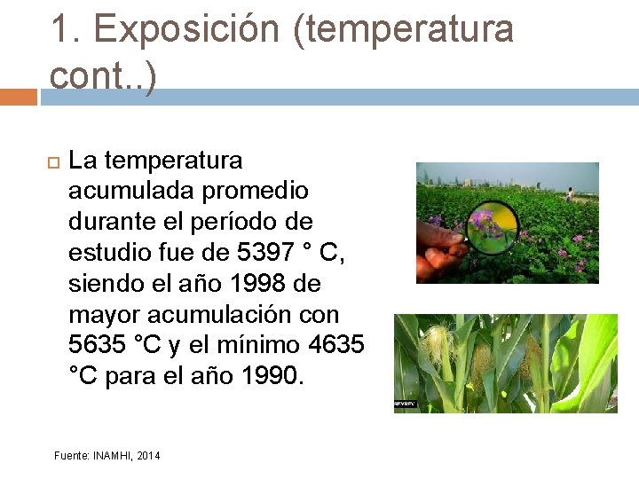 1. Exposición (temperatura cont. . ) La temperatura acumulada promedio durante el período de