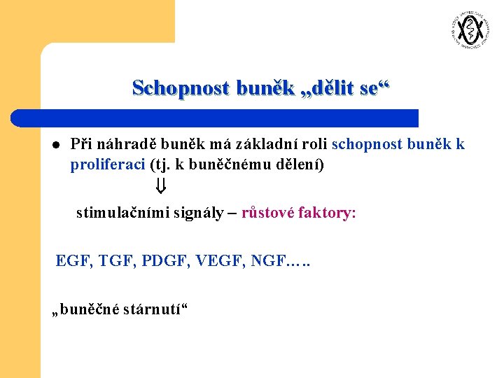 Schopnost buněk „dělit se“ l Při náhradě buněk má základní roli schopnost buněk k