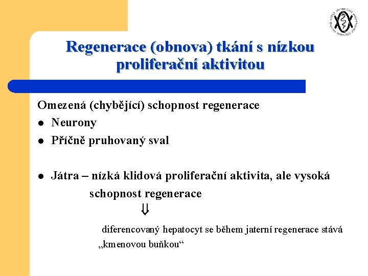 Regenerace (obnova) tkání s nízkou proliferační aktivitou Omezená (chybějící) schopnost regenerace l Neurony l