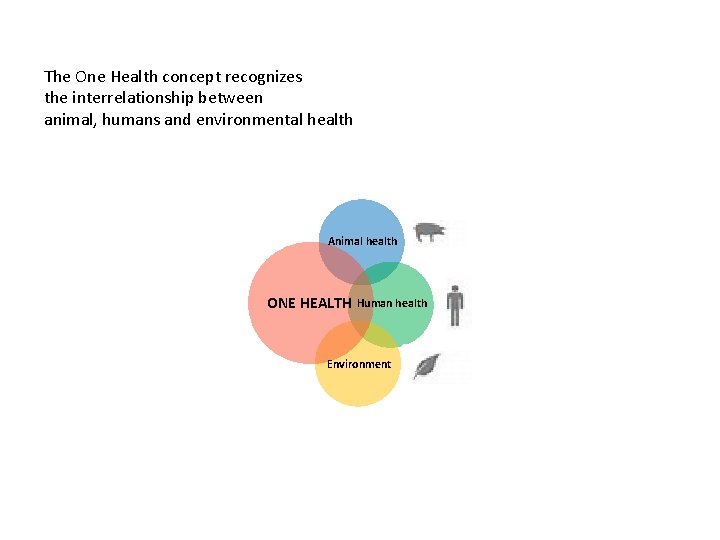 The One Health concept recognizes the interrelationship between animal, humans and environmental health Animal