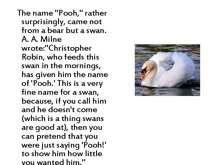 The name "Pooh, " rather surprisingly, came not from a bear but a swan.