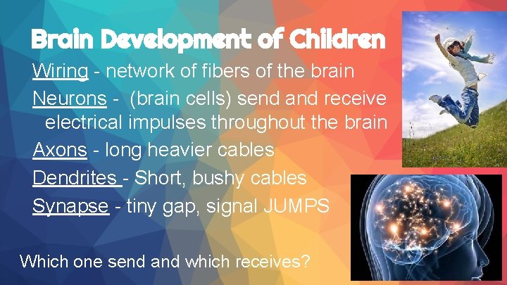 Brain Development of Children Wiring - network of fibers of the brain Neurons -